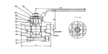内螺紋鍛鋼球閥外形尺寸圖