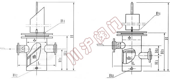 TDG籃(lán)式過(guò)濾器外形尺寸圖