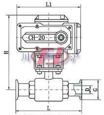 Q921F衛生級電(diàn)動(dòng)球閥 兩通結構外形圖