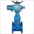 電動彈性座封閘閥