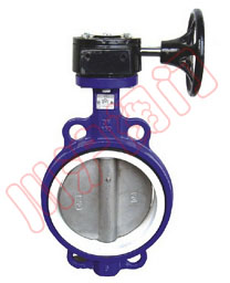 對夾式四氟密封蝶閥 産品型号和圖片