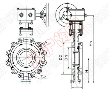 凸耳式美标蝶閥(fá) 外形尺寸圖(tú)