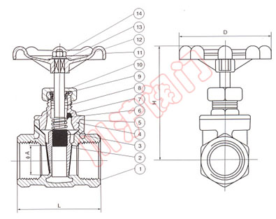 不鏽鋼(gāng)内螺紋閘閥(fá) 外形尺寸圖