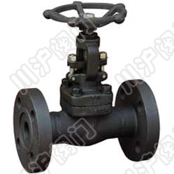 鍛鋼法蘭閘閥 産品型号和圖片