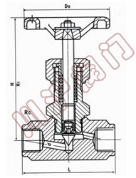 内螺紋針型閥 産品型号和圖片