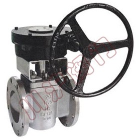 德标卡套式旋塞閥 産品型号和圖片