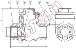 H14不鏽鋼(gāng)内螺紋止回閥(fá)外形尺寸圖